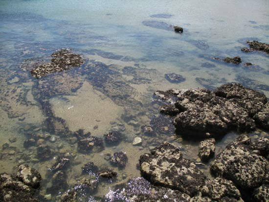 Aguas limpias, bañando las rocas del extremo de la playa de San Lorenzo, en Cimadevilla. Foto Guiarte Copyright