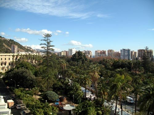 Vegetación tropical en el entorno del Parque y el puerto, desde el hotel AC Málaga Palacio. Imagen de guiarte.com