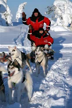 Turismo de Finlandia nos propone unas jornadas practicando sobre un trineo de huskies