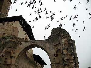 Pájaros sobrevuelan las ruinas de la vieja abadía de Sahagún. Imagen de guiarte.com Copyright