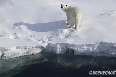 Greenpeace estudia en Groenlandia los impactos del cambio climático