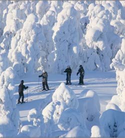 Las pistas de Ruka (Laponia finlandesa)son las primeras en abrir de toda Europa