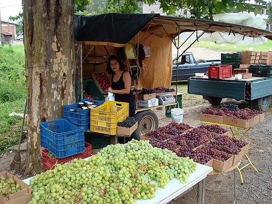 Puesto de venta de uva en la carretera desde Caxias do Sul a Farroupilha. Foto Miguel Angel Alvarez, Guiarte.com