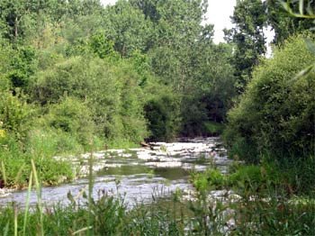 Frente al deterioro ambiental urbano, el ámbito rural mantiene niveles de calidad ambiental. Paisaje fluvial en Villamejil(León)