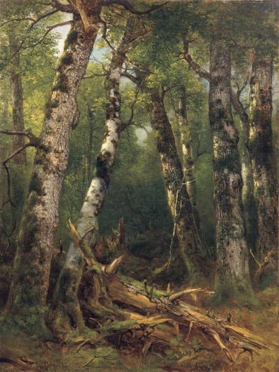 Grupo de árboles, 1855-1857. Asher B. Durand