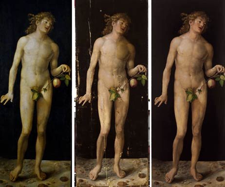 El Adán de Durero antes, durante y después de su restauración, en el Museo del Prado