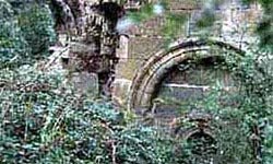 En las cercanías de Montealegre se hallan las ruinas del monasterio románico de San Juan, de la orden Hospitalaria.