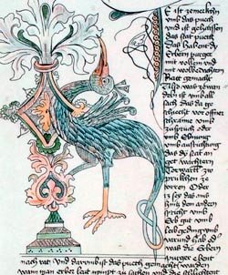 Ibis en una ilustracion medieval austriaca.