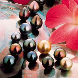 Todas las perlas obtenidas tienen distinto colorido. Alain Nissen. Turismo de Tahití