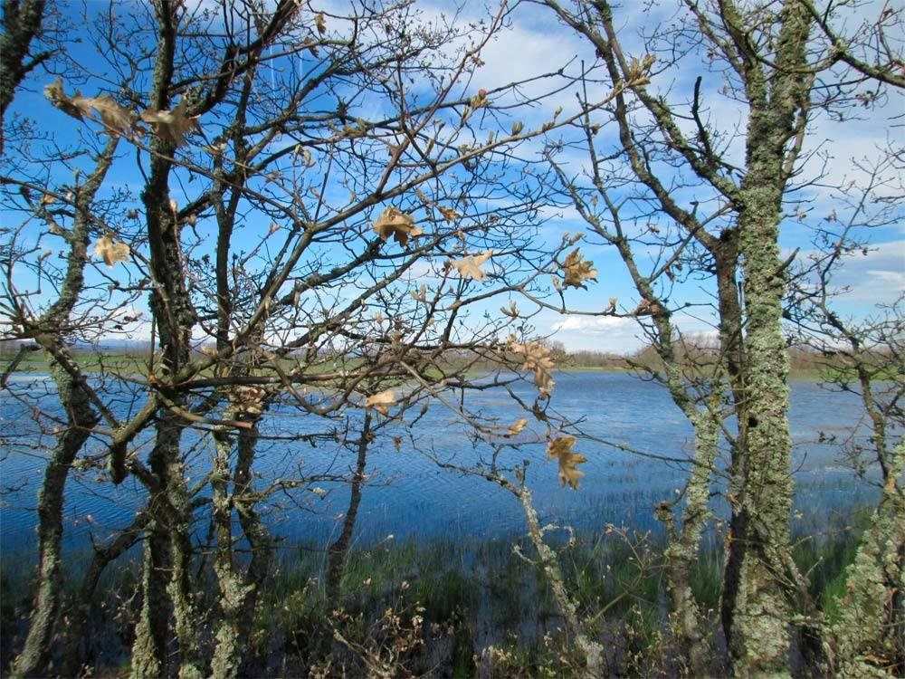 La Laguna Gallega, en invierno. Imagen de Guiarte.com