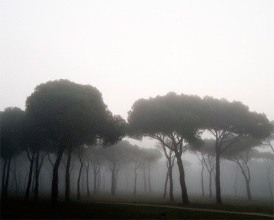 Paisajes de bruma y niebla de Fernando Sánchez