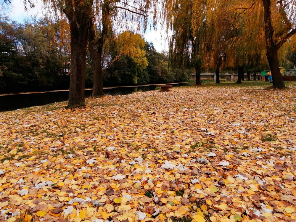 La zona de fluvial de ocio, en Sopeña, en una imagen de otoño. Guiarte.com