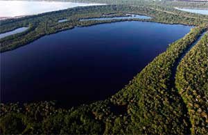 La Amazonia es un espacio de una inmensa riqueza natural, que debe ser preservada. Imagen de Greenpeace