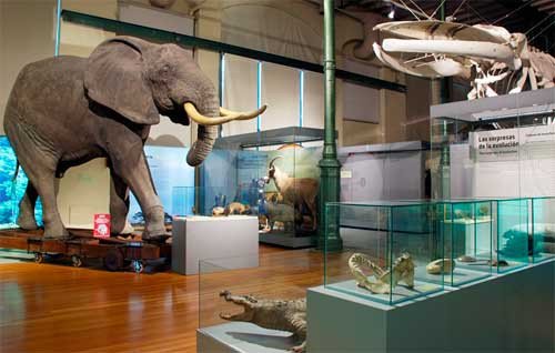 En el Museo Nacional de Ciencias Naturales de Madrid, muestra permanente Biodiversidad.