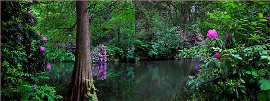 Tiergarten. Jardín romántico 