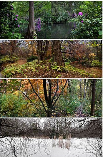 Tiergarten. Jardín romántico 