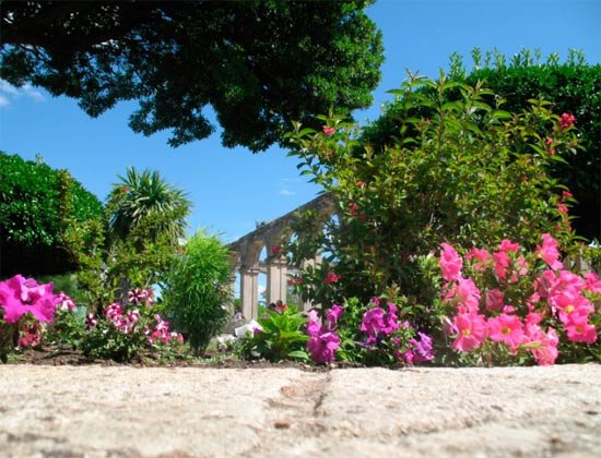 Jardines existentes tras la Catedral, donde se junta la belleza floral con los restos del Palacio Episcopal. Imagen de guiarte.com